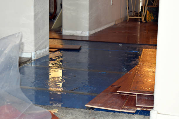 Professional Water Extraction technician working in Burnside, IA